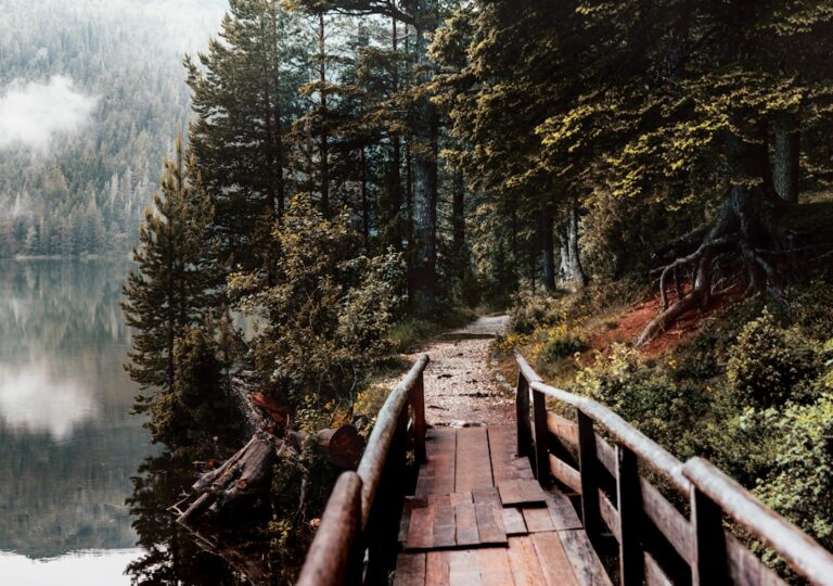 How to Plan Your Dream Adventure Trip Without Breaking the Bank